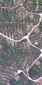 Satellite image analysis